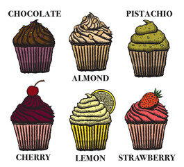 Vector illustration set of a cupcakes