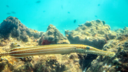 St. Thomas, U.S. Virgin Islands