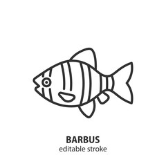 Sumatran barb fish line icon. Tiger barbus vector sign. Editable stroke.