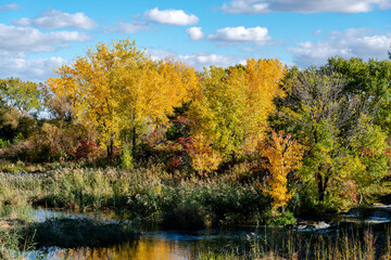 Autumn colors by the St. Lawrence river 