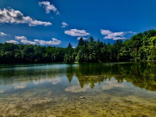 Fototapeta premium Lake surrounded by forest 