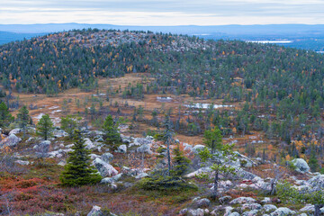 A view from a rocky Iso Ruuhitunturi peak on a gloomy autumn evening in Salla National Park, Northern Finland	