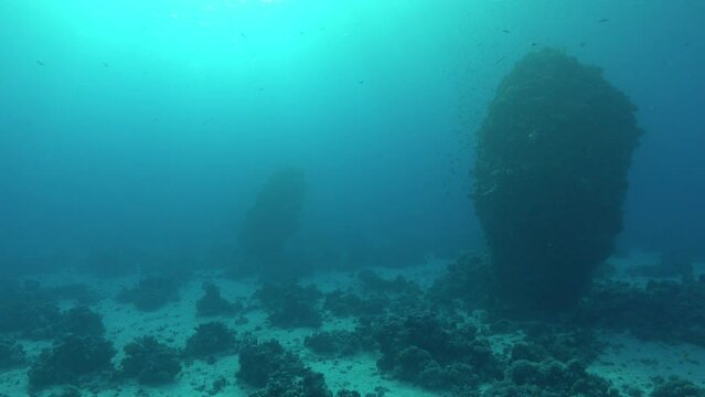Underwater landscape - Red Sea pinnacles