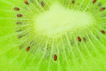 Close-op of kiwi fruit with bubbles. Bright view photo. Kiwi fruit slice in water with bubbles on light background. Macro image