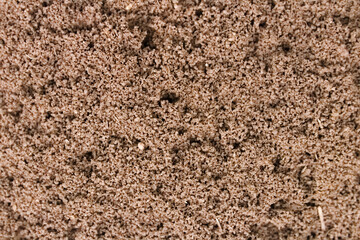 Macofotografía de un hormiguero