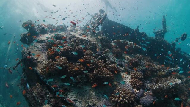 Underwater view of the shipwreck in the tropical sea in the Maldives