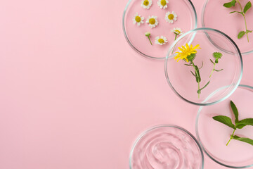 Petri dishes with different plants and cosmetic products on pink background, flat lay. Space for...