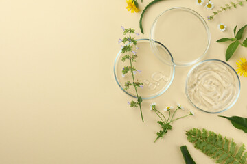 Flat lay composition with Petri dishes and plants on beige background. Space for text