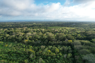 Fototapeta premium Green tropical landscape background