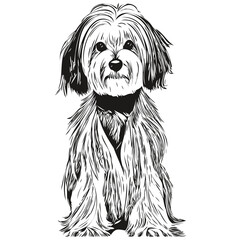 Havanese dog black and white vector logo, line art hand drawn vector pets illustration