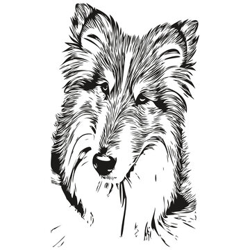 recommend clip art: Shetland Sheepdog dog black and white vector logo, line art hand drawn vector pets illustration