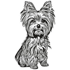 Yorkshire Terrier dog black and white vector logo, line art hand drawn vector pets illustration