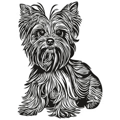 Yorkshire Terrier dog black and white vector logo, line art hand drawn vector pets illustration