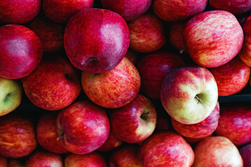 Organic red apples on the farmers market