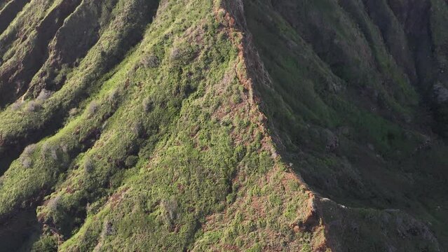 60fps Drone Aerial Koko Head  Mountain Hike Oahu Hawaii Panning Up On Ridge And Showing View Of Hawaii Kai Neighborhoods Midday Lots Of Sunlight