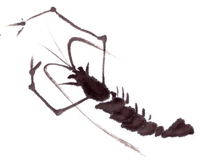shrimp, chinese traditional ink painting on rice paper