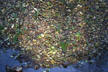 Rocky shore washed by river water