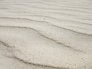 Waves of the Sand