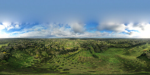 Avocado plantation farm 360 vr view