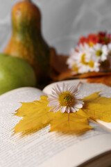 Book with autumn leaf and chamomile flower as bookmark, closeup. Space for text
