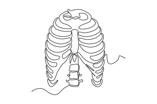 Single one line drawing rib cage anatomy. Human organ concept. Continuous line draw design graphic vector illustration.