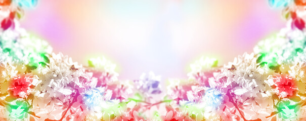 Wide banner with colorful cherry blossoms, pastel coloring, spring sunny day. Springtime atmospheric mood. Copy space