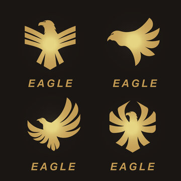 Set Modern Eagle Logo Design with gold colored Style Concept.