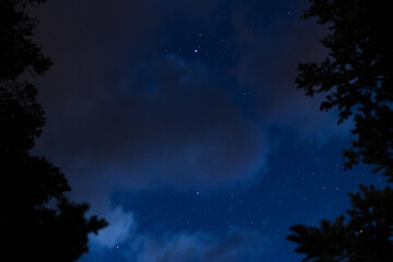 Fototapeta na wymiar Night Sky Through the Trees Over Rocky Mountain National Park