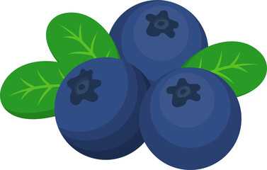 Blueberry comic cartoon vector