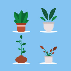 grenery, herb and houseplant icon collection with pot.