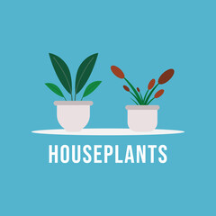 Fototapeta na wymiar grenery, herb and houseplant icon collection with pot.