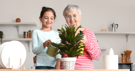 Little girl with her grandma watering houseplant in kitchen