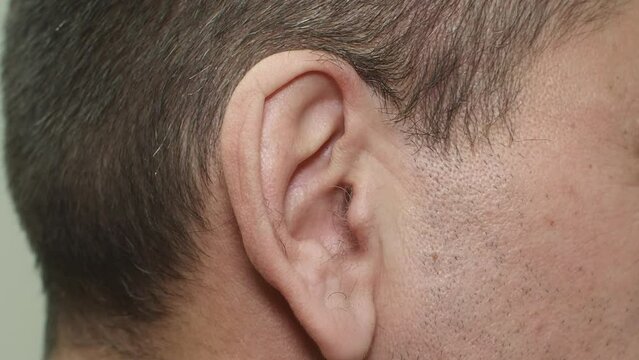 Close-up view of ear of caucasian young brunet man, he is moving his ear. Sound perception, deafness, ear diseases, health of the ear apparatus. The sensory organ responsible for hearing.