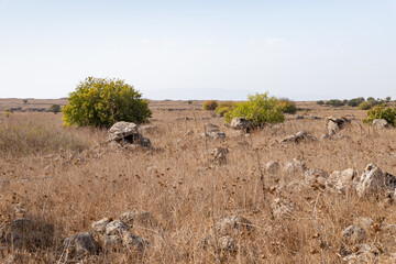 Ancient  burial and cult structure belonging to category of megaliths - structures made of large stones in Gamla Nature Reserve, Golan Heights, northern Israel