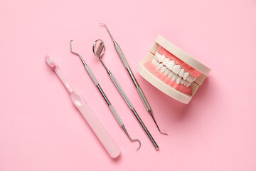 Jaw model with dental tools and toothbrush on pink background