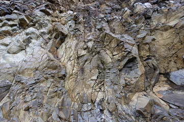 Stone surface of the rock. Dry vegetation in the cracks. Sheer gray wall, natural stone texture