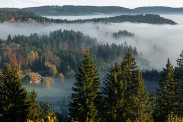 Titisee in morning fog