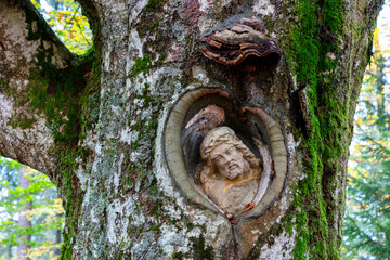 Balzer Herrgott near Guetenbach in the Black Forest