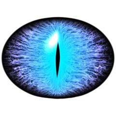 Blue dragon eye. Elliptic eye with striped iris and dark thin elliptic pupil