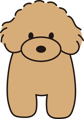 ほっこりかわいいトイプードル