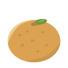 美味しそうなみかん