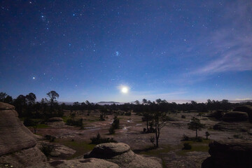 landscape in the night, big stones and trees with sky full of stars, with venus in the horizon,...