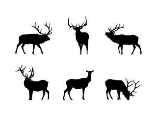 Elk Silhouette Collection