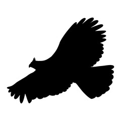 Java Eagle Silhouette Illustrations