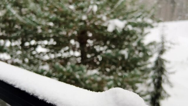 Close up of glass railing covered in snow during a snowfall in a pine forest during winter