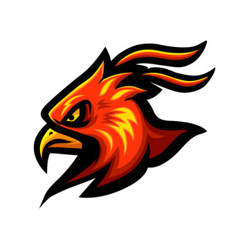 Phoenix head logo mascot design