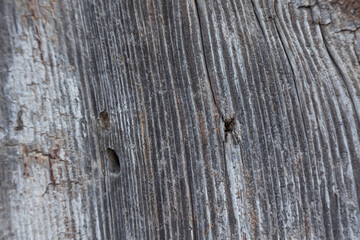 Old weathered wooden beam with distinctive grain - texture, pattern