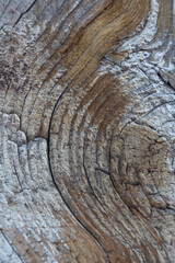 Old weathered wooden beam with distinctive grain - texture, pattern