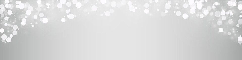 Light Snowflake Vector Silver Panoramic