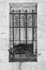 Window with a lattice
